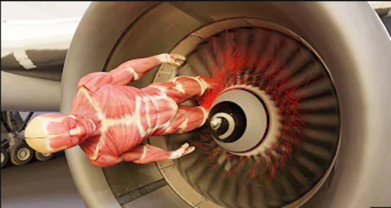 HUMAN BODY vs AIRPLANE ENGINE animation