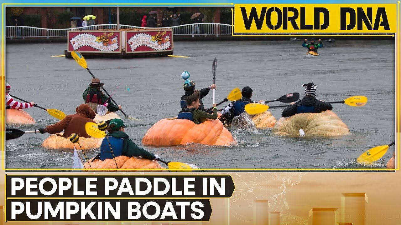 Belgian town hosts its annual Pumpkin Boat Race | WION World of DNA