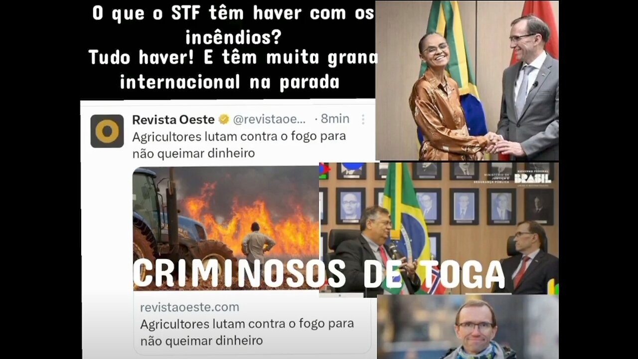 Criminosos de toga:O que o STF têm haver com os incêndios? Tudo haver! E têm muita grana internacional na parada