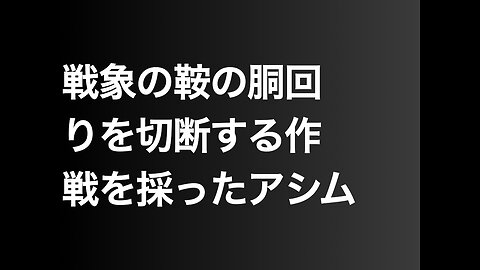 戦象の鞍の胴回りを切断する作戦を採ったアシム