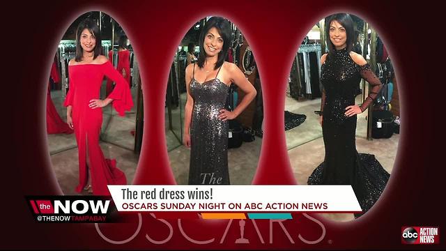 Sarina Fazan's Oscar gown, goes to charity