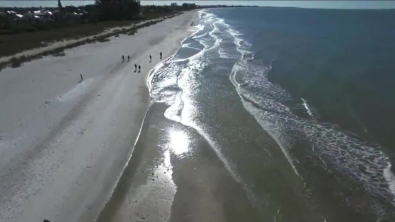 Man bitten by a shark off coast of Anna Maria Island