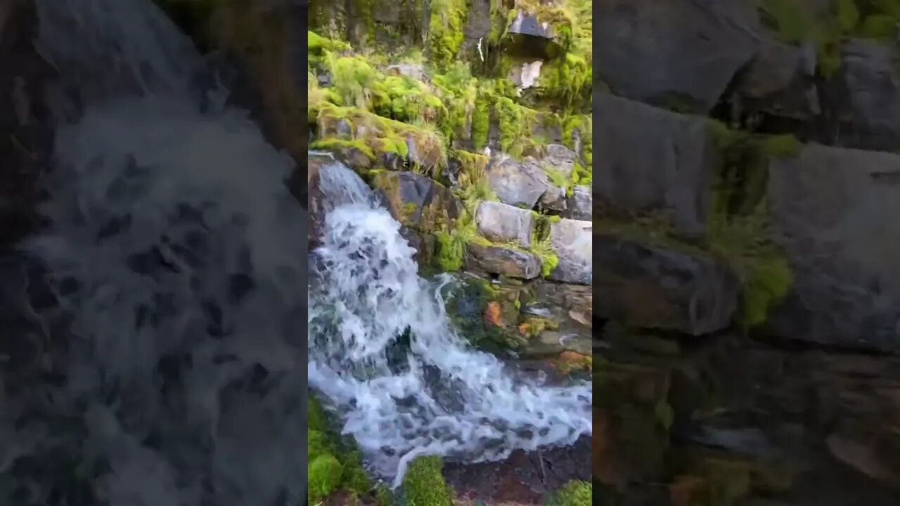 Nature vibes while hiking in Alberta #nature #hiking #alberta