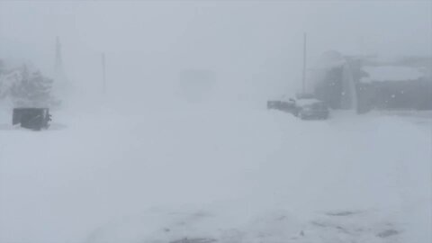 Western Blizzard