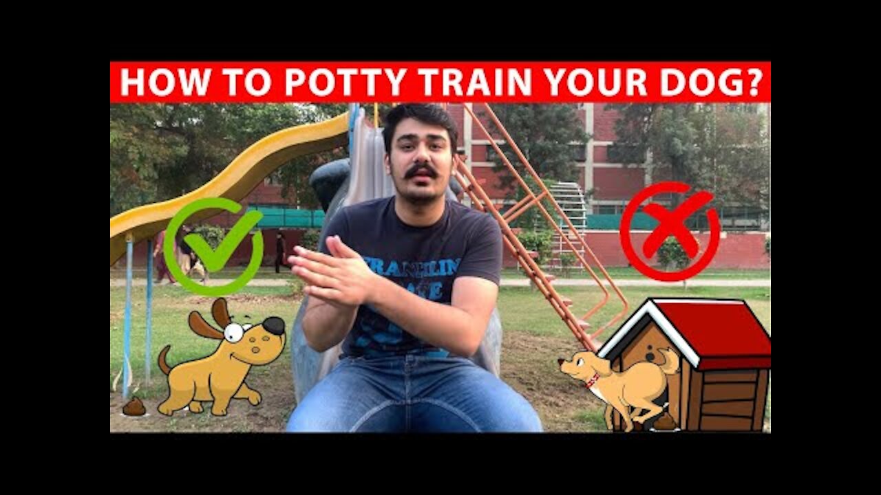 Potty Train Your Dog (Pet) in less than 2 minutes