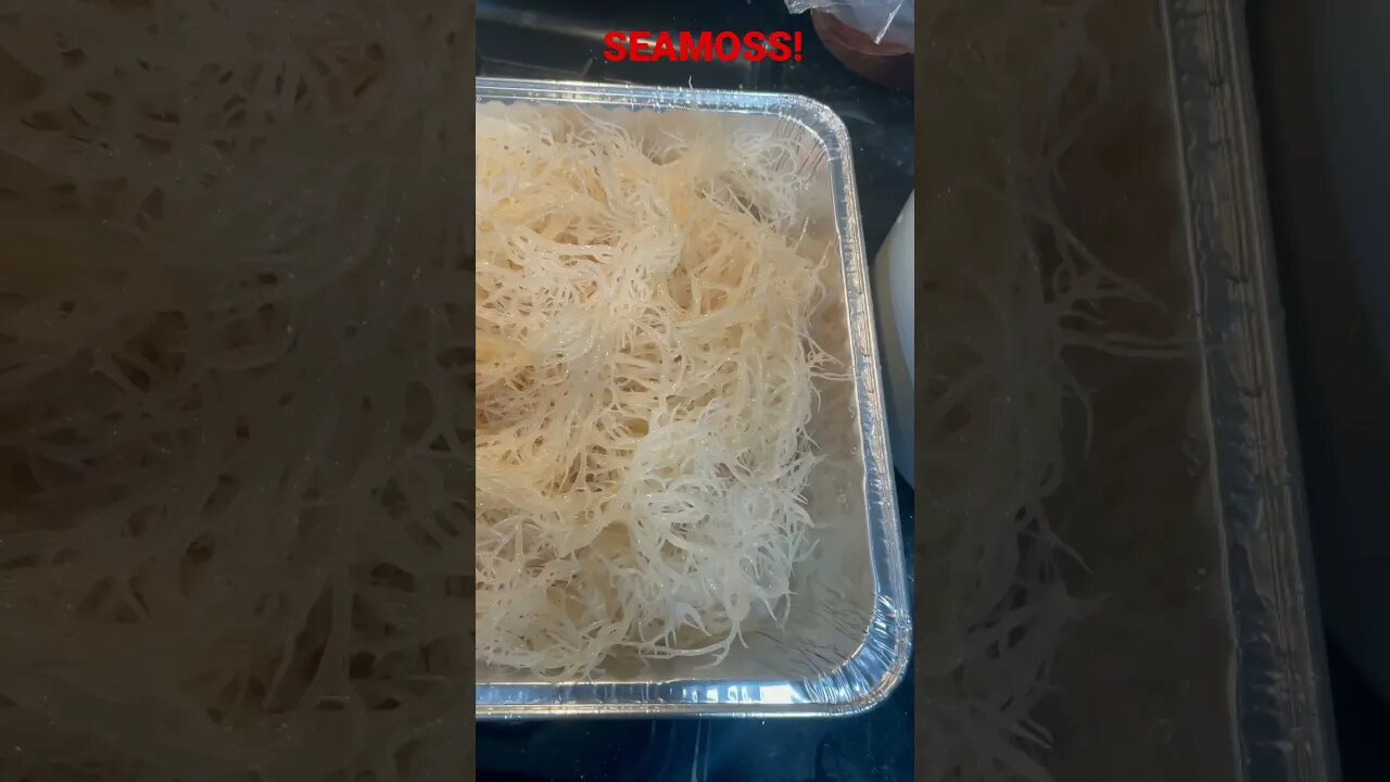 Preparing Sea Moss!
