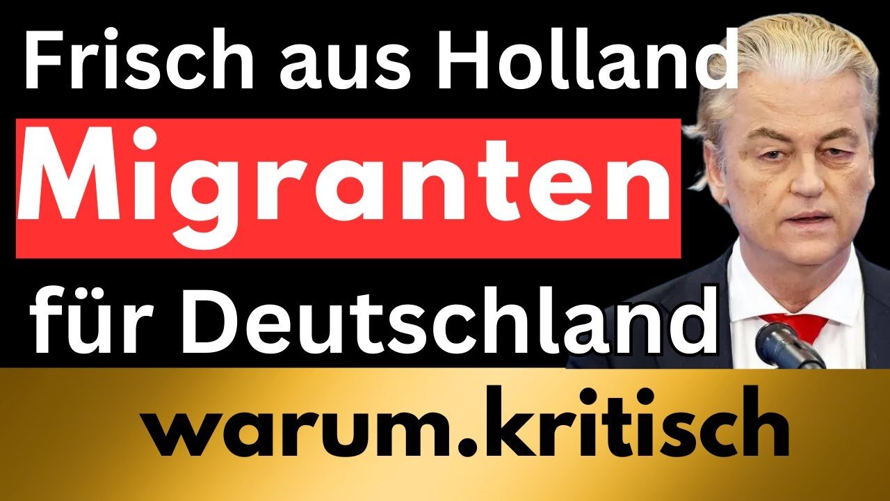 Massive Abschiebung nach Deutschland - Niederlande machts möglich?@warum.kritisch🙈