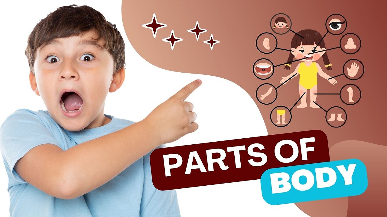 Learn Name of Parts of Body | Body Parts Names for Kids | Human Body Parts | Kids English Vocabulary