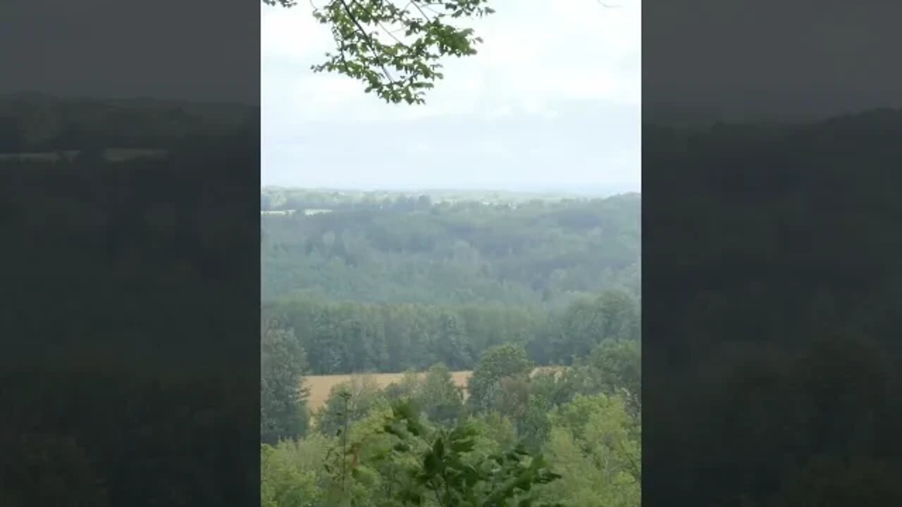 Split Rock Narrows Side Trail On The Niagara Escarpment Part Of The Bruce #short #shorts #shortvideo