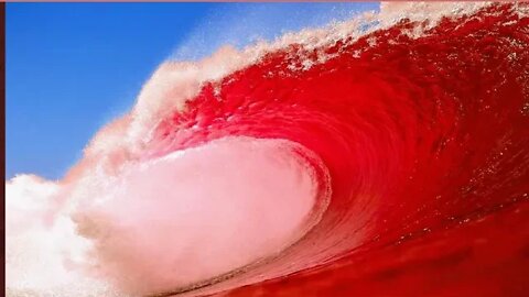 Latest Polling Indicates a Red Wave This November!