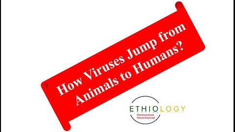 How Viruses Jump from Animals to Humans?