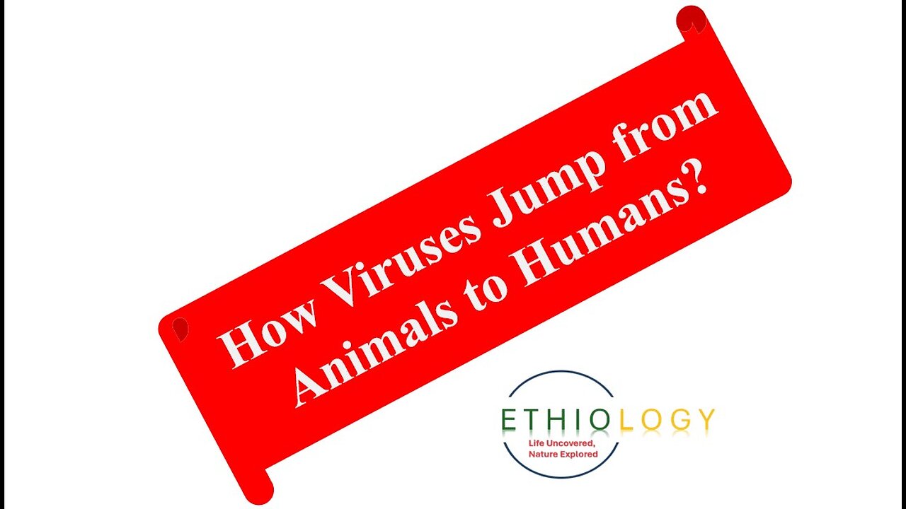 How Viruses Jump from Animals to Humans?