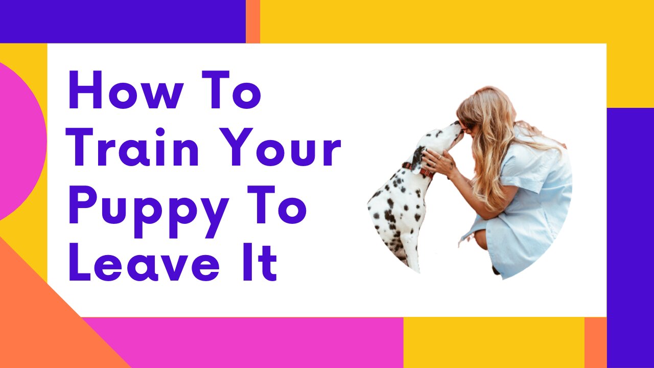 How To Train Your Puppy To Leave It