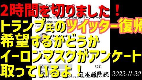 2時間を切りました！！🐯トランプ氏ツイッター復帰を問うイーロンマスクアンケート[日本語朗読]041120