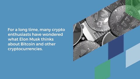 How Elon Musk could explode the Dogecoin in the next few years
