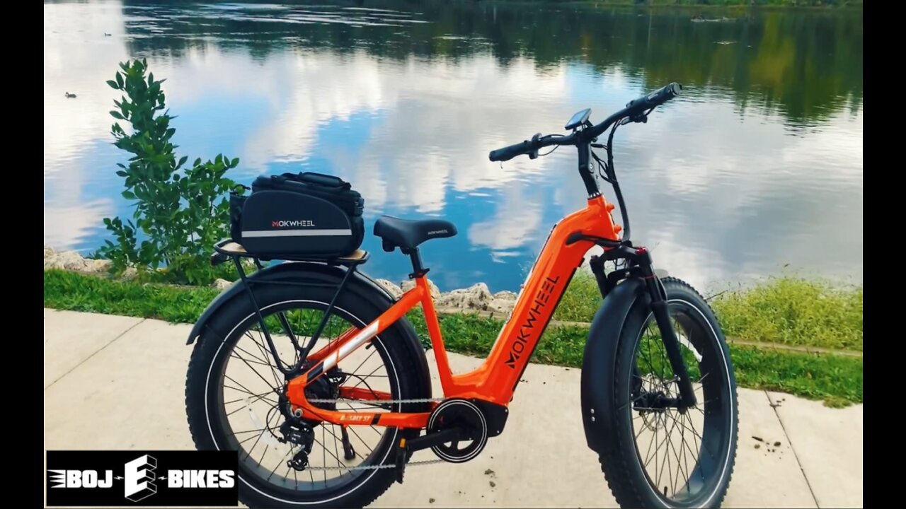 BOJ-E-BIKES: Joy Ride Mokwheel Basalt ST