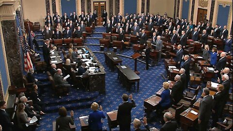 Senate Impeachment Hearings Part 1 Democrat arguments