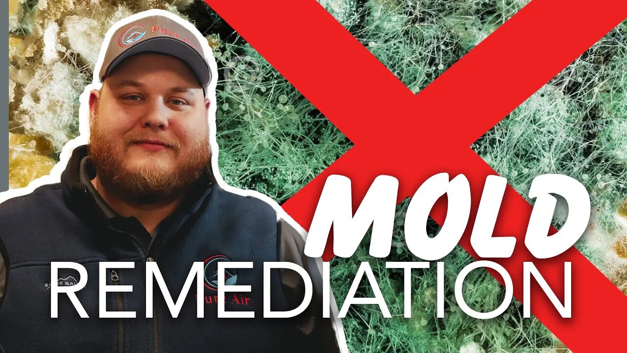 Mold-Free Homes with Matt Dayton of Pure Air Nation