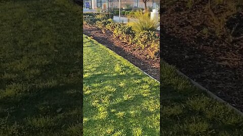 Robbins In The Morning