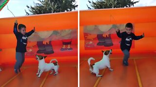 Little Boy Enjoys Bouncy Castle With His Doggy