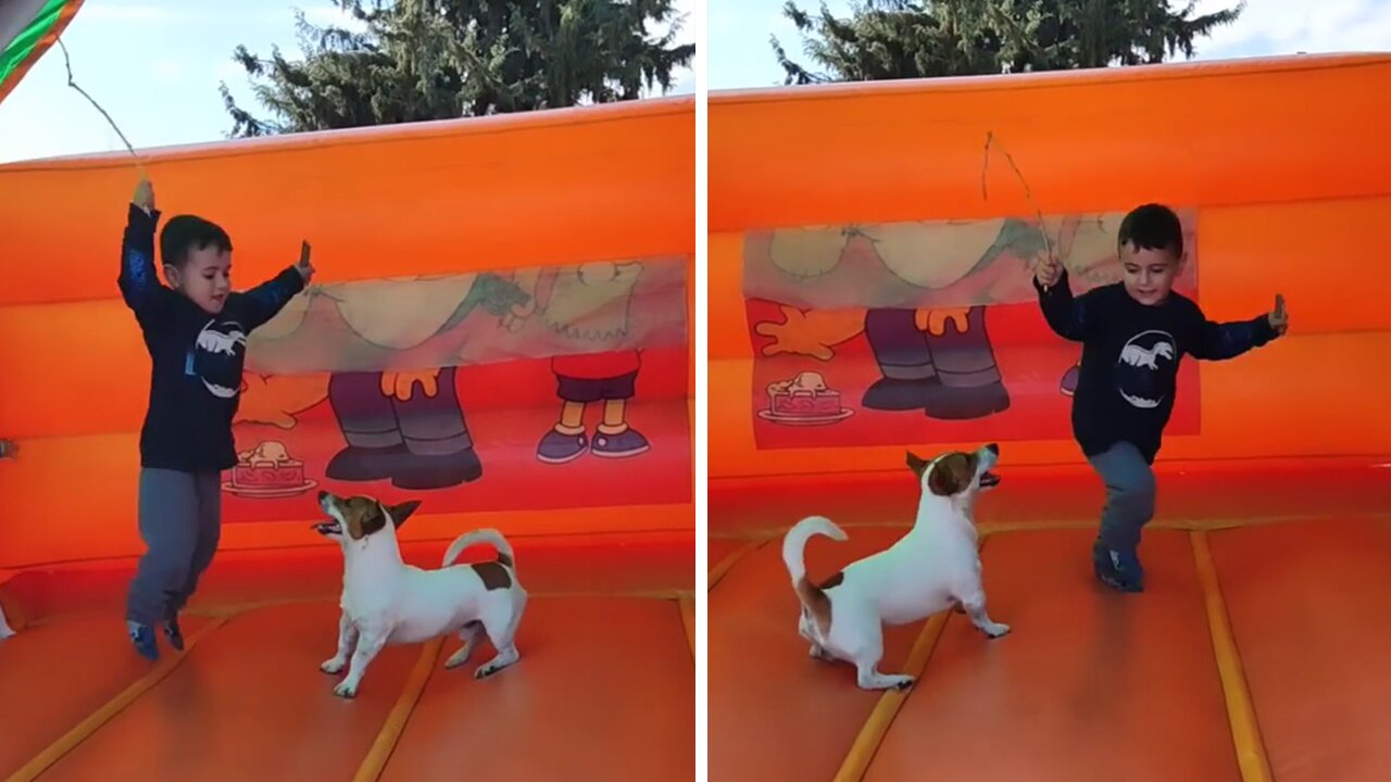 Little Boy Enjoys Bouncy Castle With His Doggy