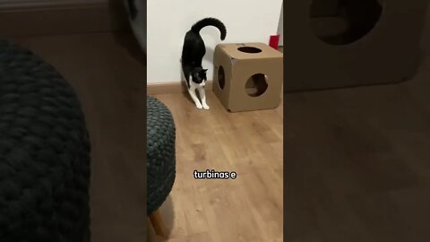 ELE EXISTE 😱😱😱