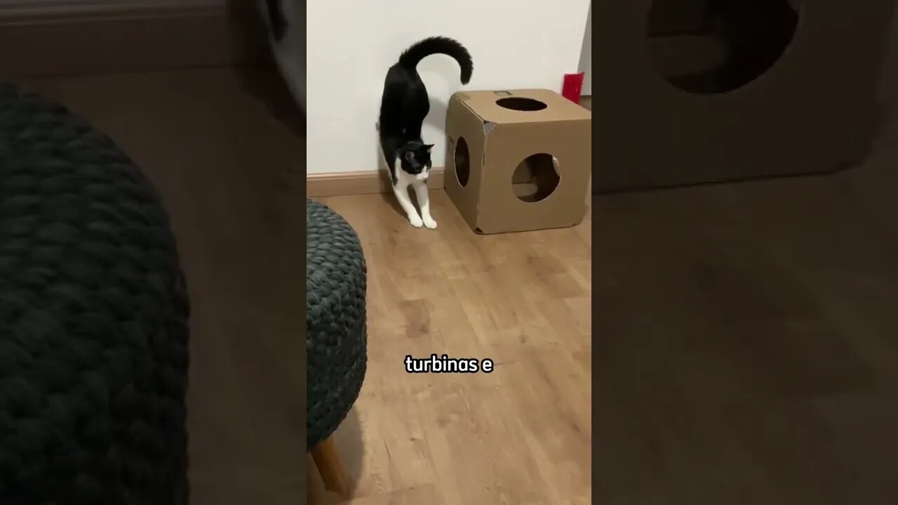 ELE EXISTE 😱😱😱