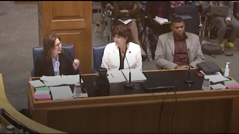 Shelia Thompson Johnson and Claston Bernard Comments at House Committee on Education