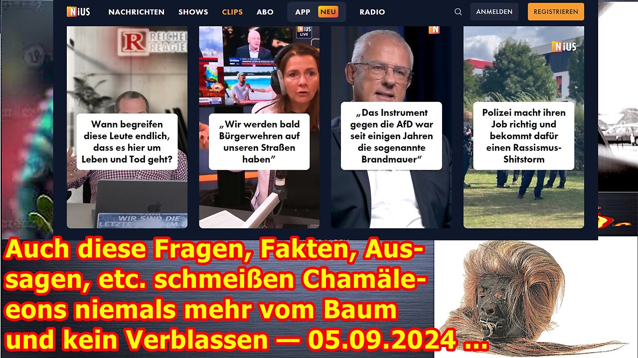 Auch diese Fragen, Fakten, Aussagen, etc. schmeißen Chamäleons niemals mehr vom Baum — 04.09.24 ...