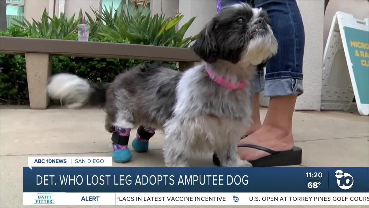 San Diego detective who lost leg adopts amputee dog