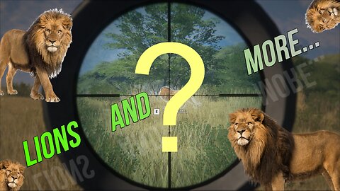 Lions are Out!... Plus a Surprise Kill in Hunter Call of the Wild