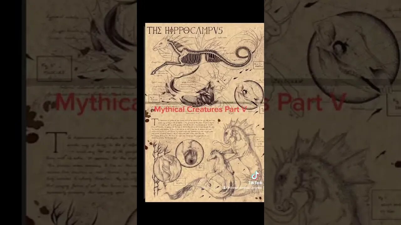 Mythical Creatures Part V