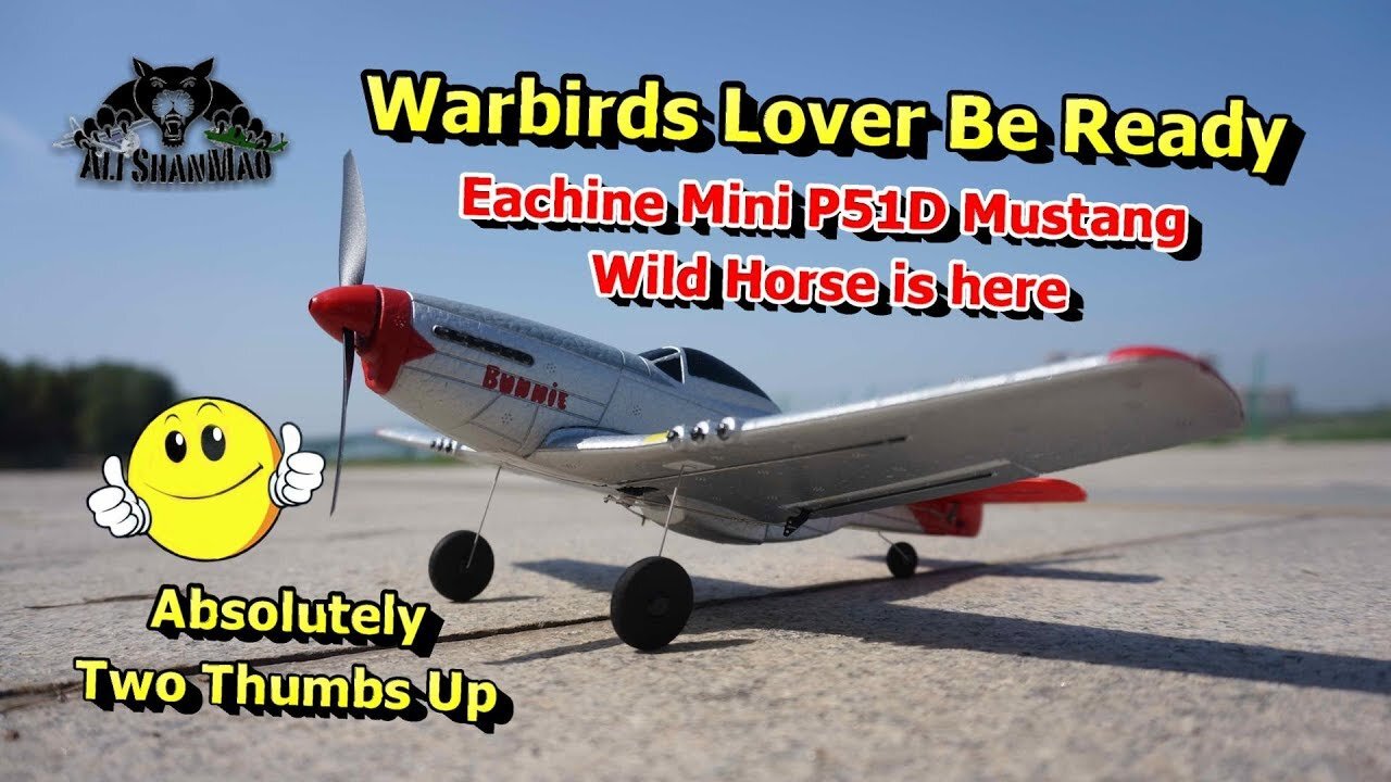 The Best Mini RC P51D Mustang Wild Horse Warbird RC Plane Ever