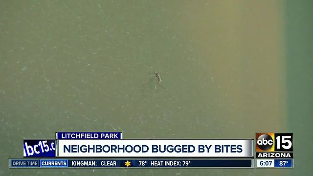 Valley neighborhood taken over by mosquitoes