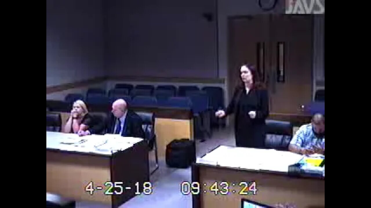 Baptista matter before Lisa Brown Clark County Family Court Judge 4/25/18 part 2