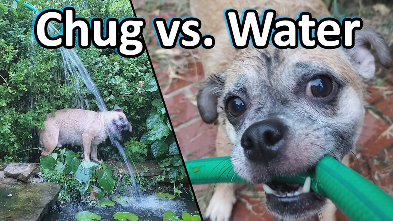 Chug Vs. Water Hose 2