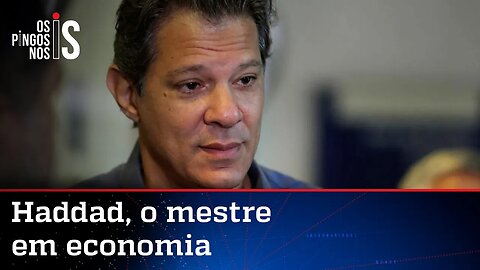 Ministro da Fazenda, Haddad confunde Conselho com Autarquia