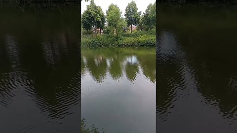 Kaltenberger Graben #Hildesheim #natur #wandern #shorts