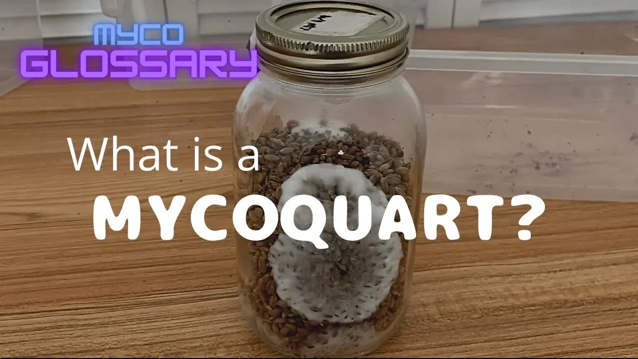 What is a Mycoquart?