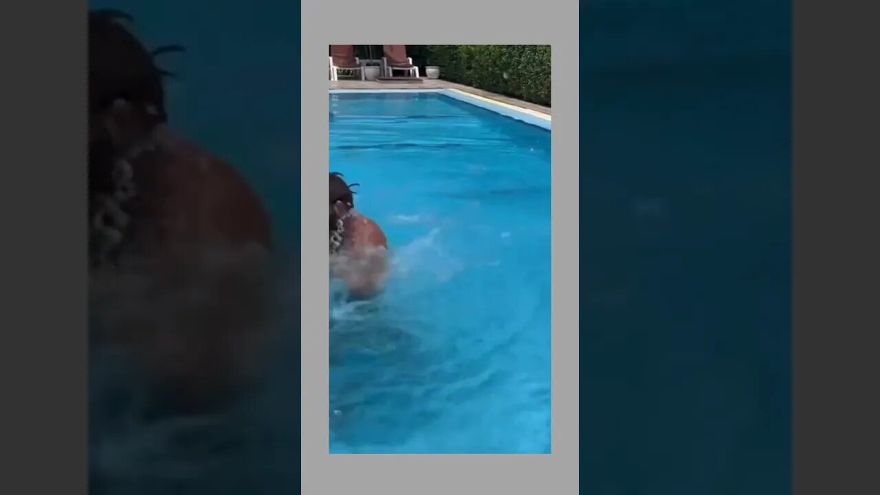 Jiri Prochazka's pool workouts #shorts