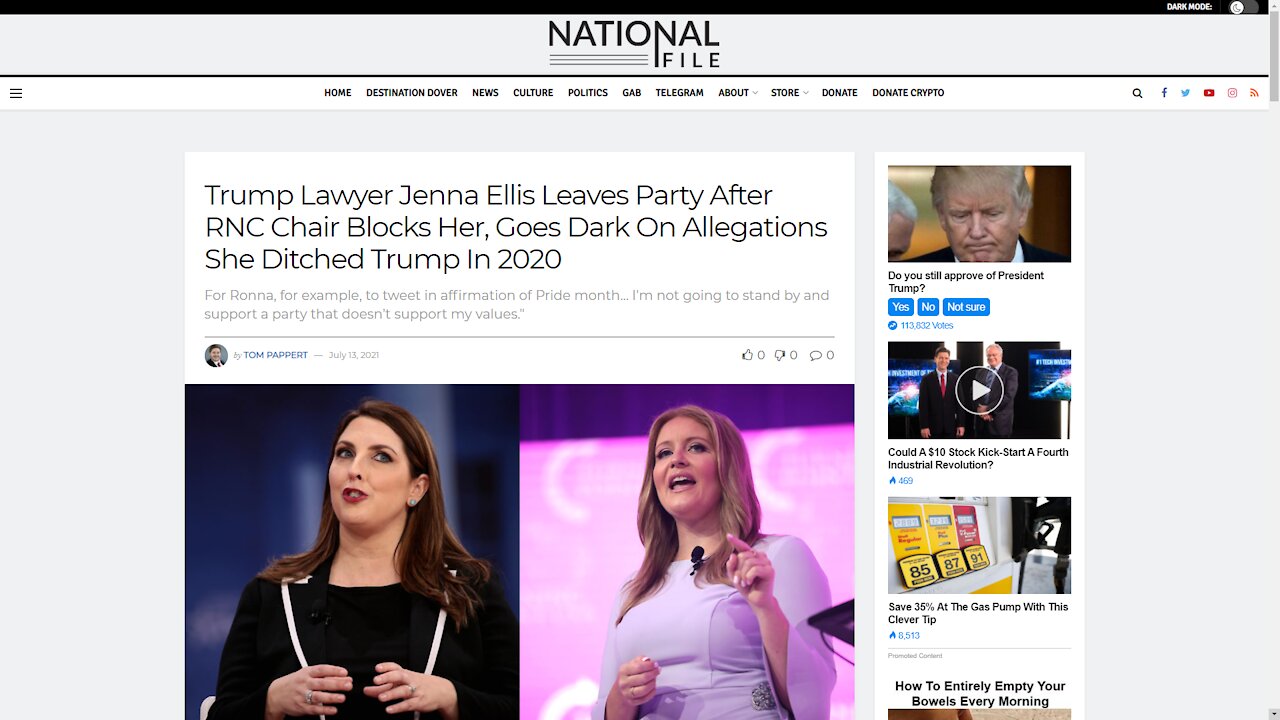 Jenna Ellis's Attacks On The RNC Have Been Needed For Decades