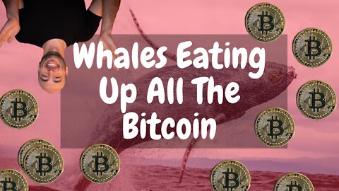 Bitcoin Whales Sucking Exchanges Dry