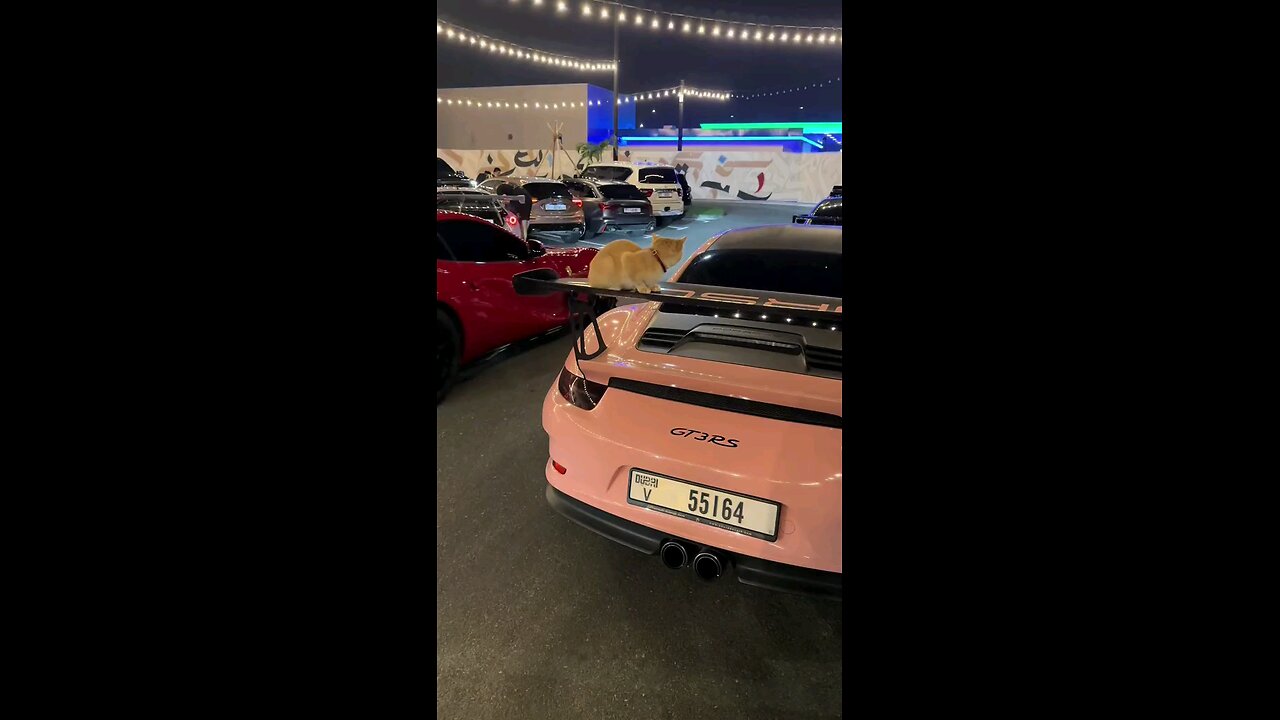 Porche sound enjoying