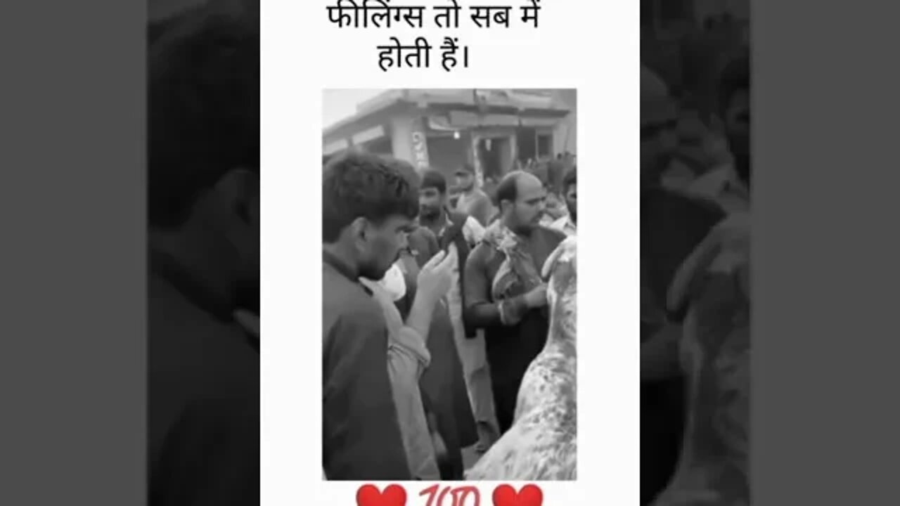 जानवर छोटा हो या बड़ा फीलिंग्स तो सब में होती हैं। #viral #animallover #trendingshorts #shorts