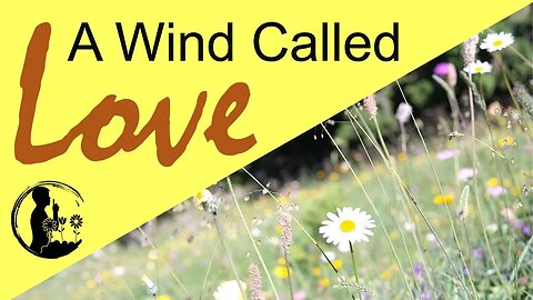 The Wind Called Love - David Drapela