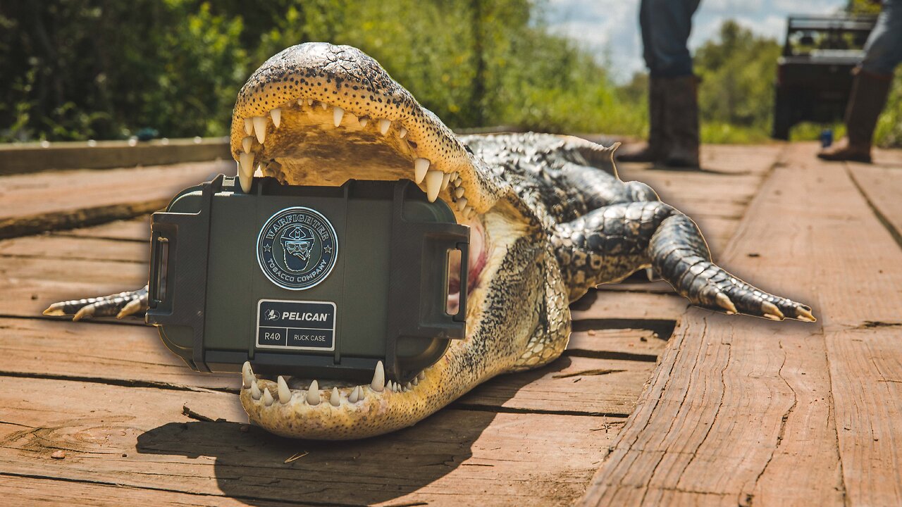 South Texas Gator Hunting