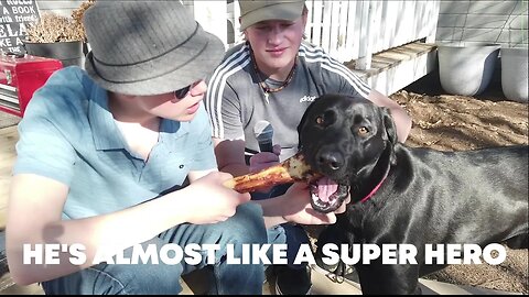 Street News and Dog Days