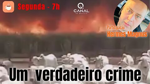 Um verdadeiro crime