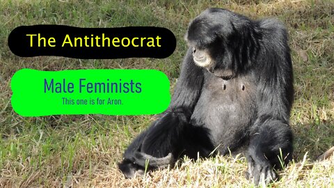Male Feminists