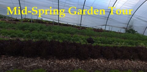 Mid-Spring Garden Tour